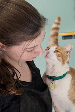 teen volunteer with cat