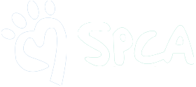 white york spca icon